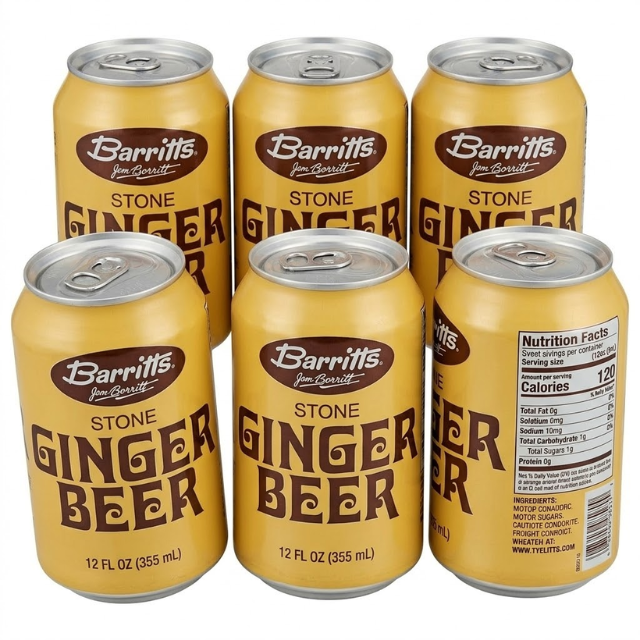 Ginger Beer Soda – 12 oz Cans (24 Count Case)