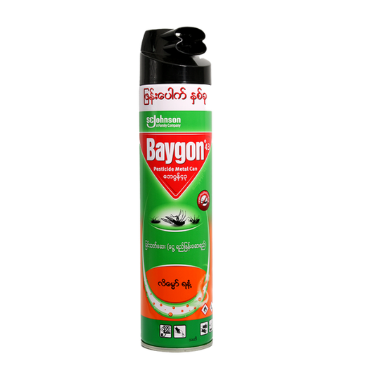 Baygon Insect Spray – 600ml